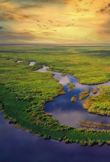 florida